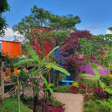 Chameleon Hill Forest Lodge Bwindi Impenetrable Park 외부 사진