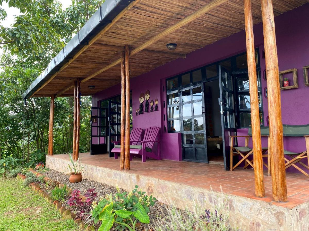 Chameleon Hill Forest Lodge Bwindi Impenetrable Park 외부 사진