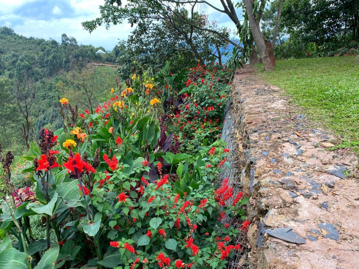 Chameleon Hill Forest Lodge Bwindi Impenetrable Park 외부 사진