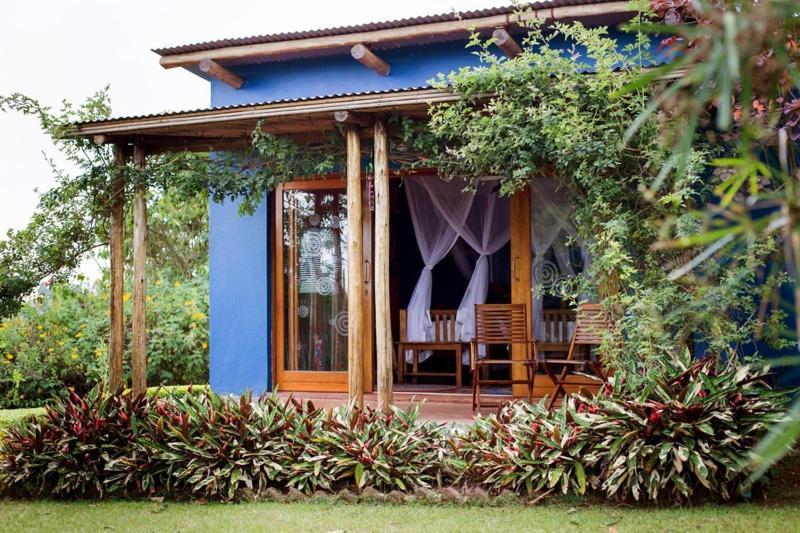 Chameleon Hill Forest Lodge Bwindi Impenetrable Park 외부 사진