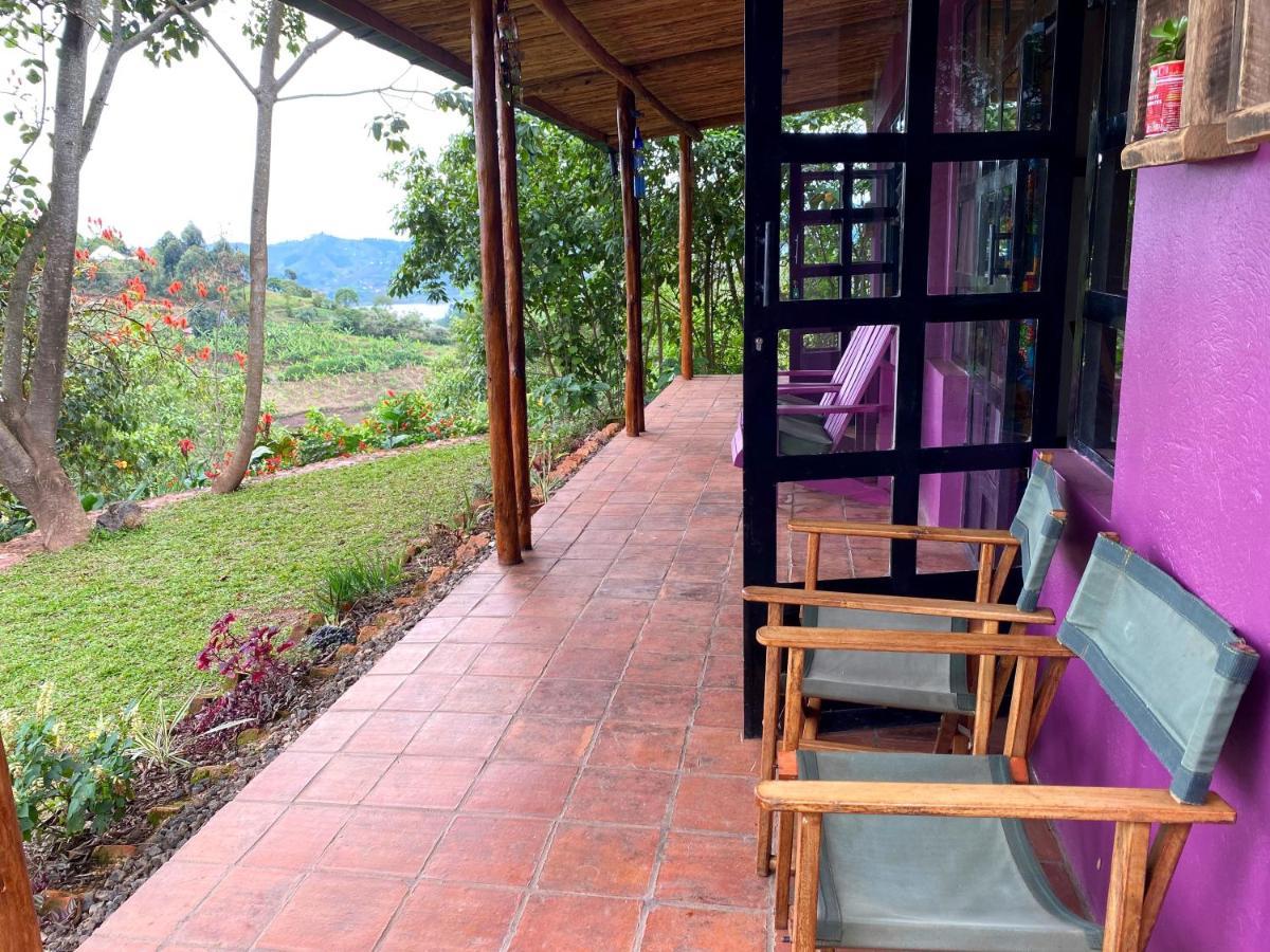 Chameleon Hill Forest Lodge Bwindi Impenetrable Park 외부 사진