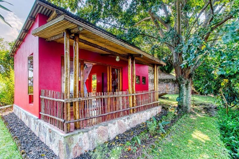 Chameleon Hill Forest Lodge Bwindi Impenetrable Park 외부 사진