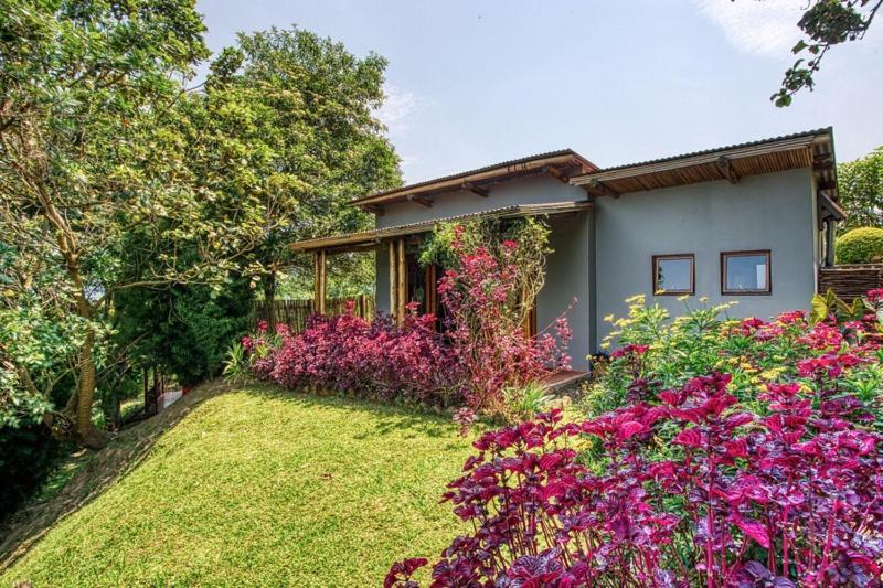 Chameleon Hill Forest Lodge Bwindi Impenetrable Park 외부 사진