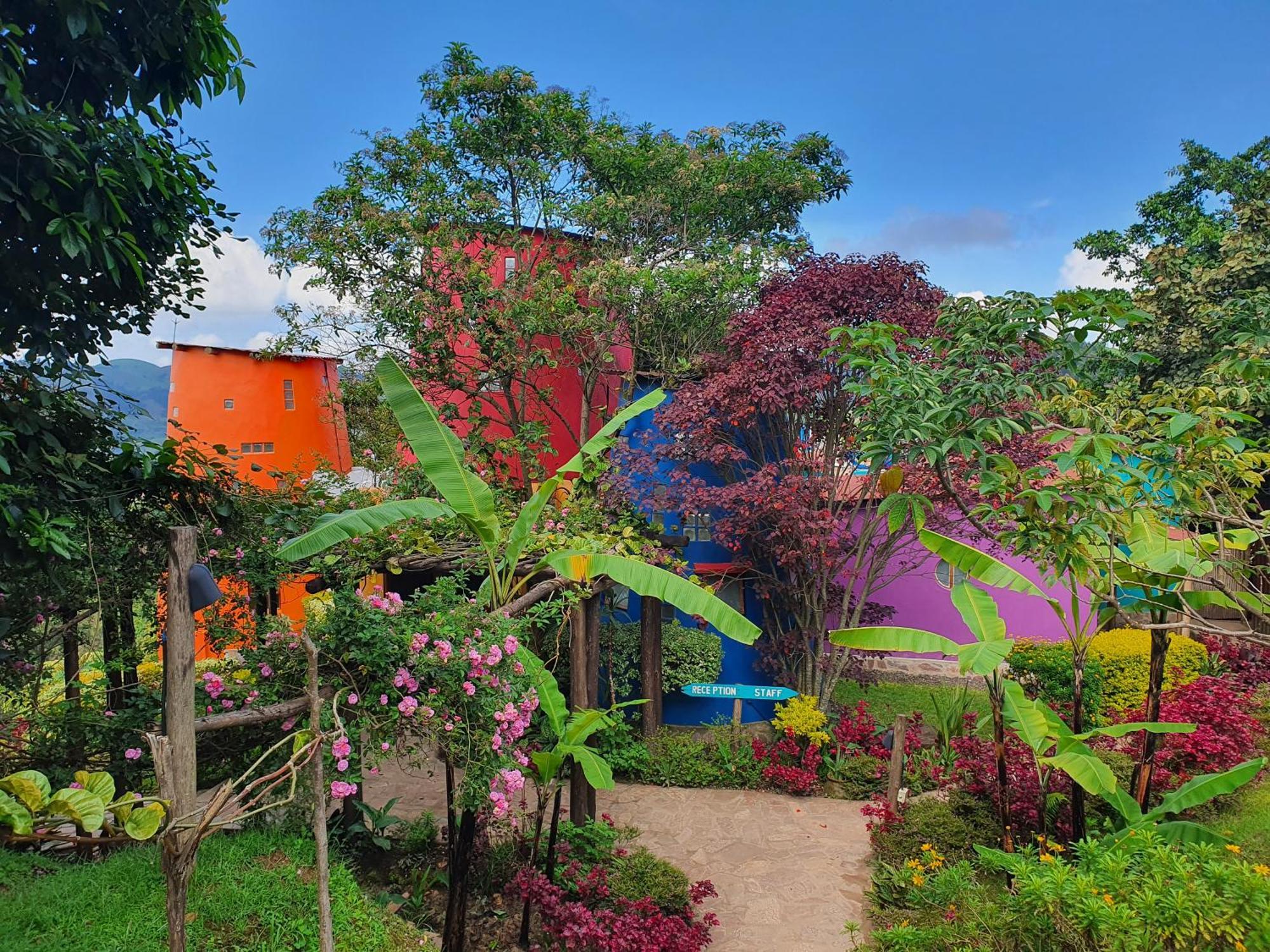 Chameleon Hill Forest Lodge Bwindi Impenetrable Park 외부 사진
